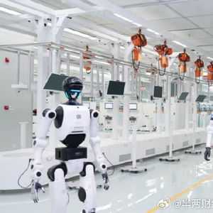 从追赶者到领跑者 中国机器人技术如何重组全球制造业竞赛棋盘